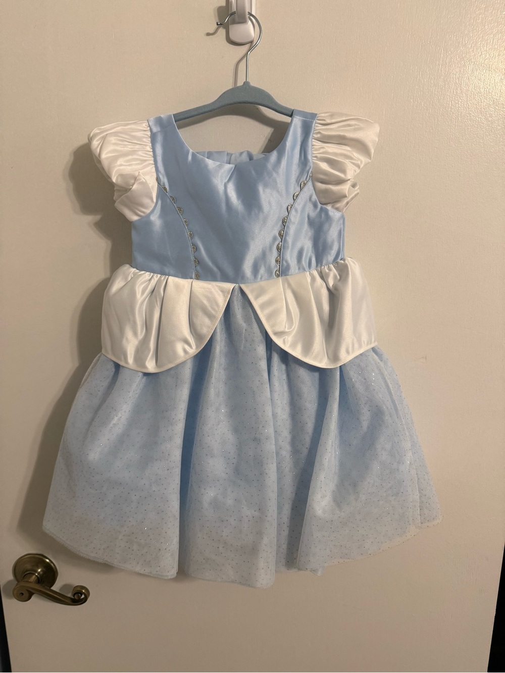 Jaine and Jack x Disney Collab- Cinderella Dress